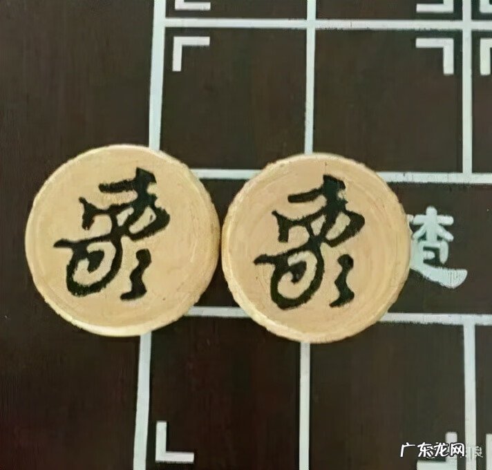 猫在风水上代表什么 猫头像有什么不好吗