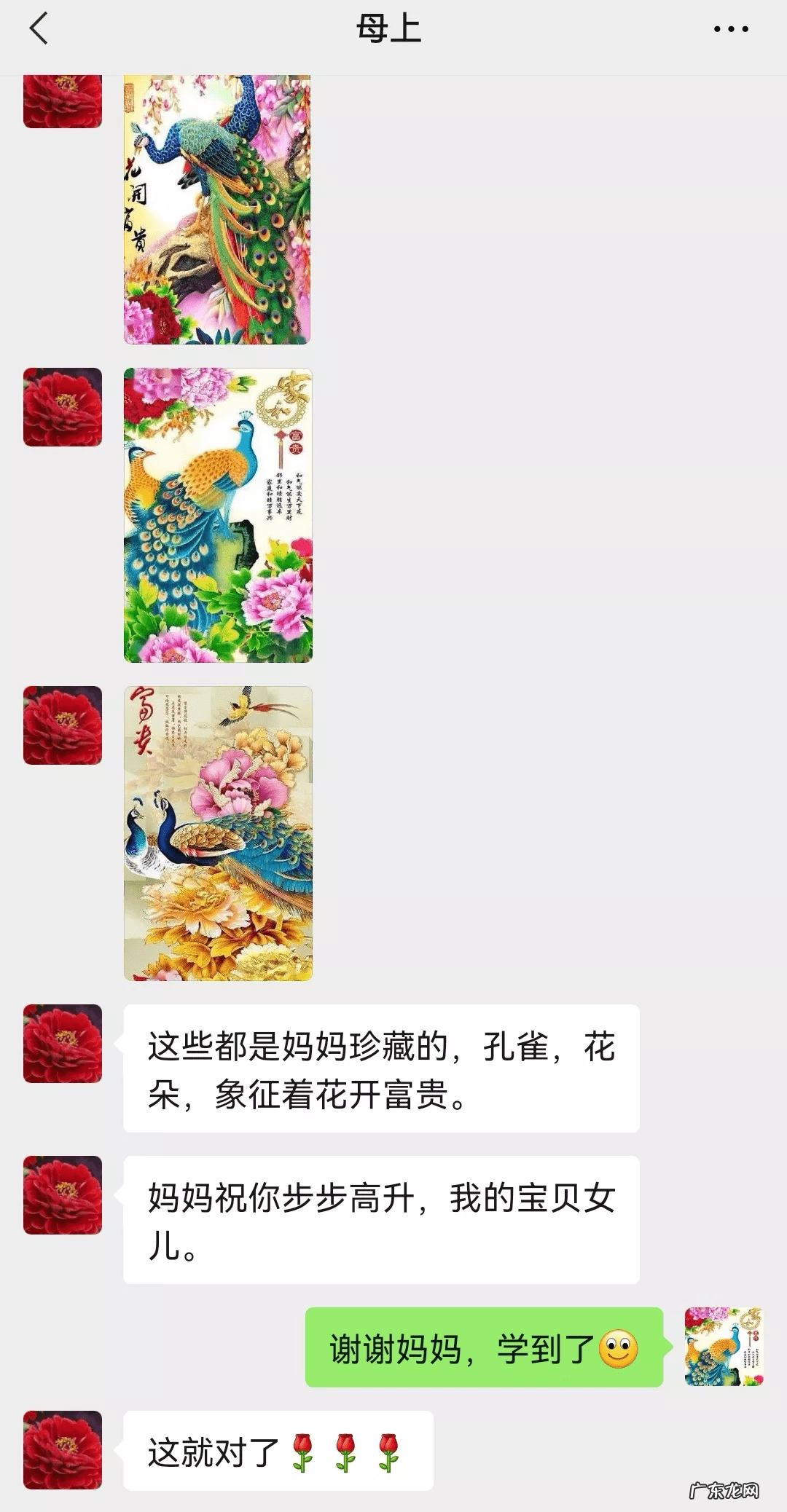 猫在风水上代表什么 猫头像有什么不好吗