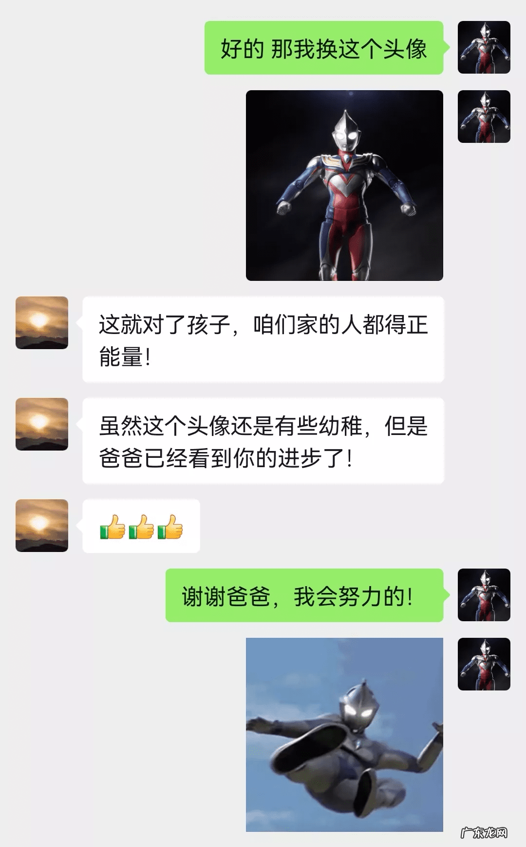 猫在风水上代表什么 猫头像有什么不好吗