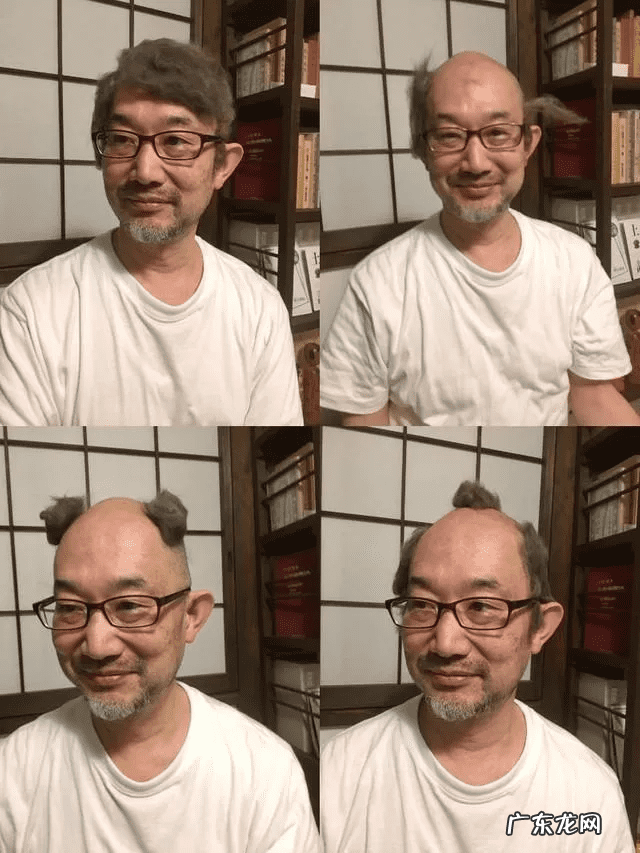 猫在风水上代表什么 猫头像有什么不好吗