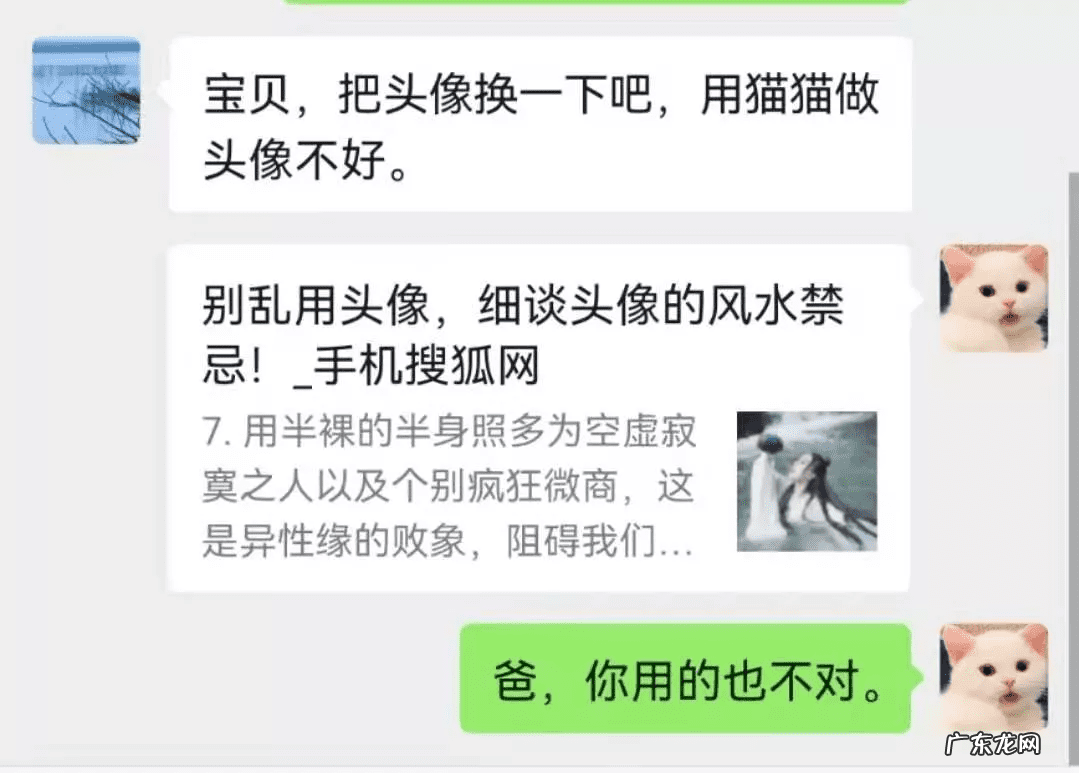 猫在风水上代表什么 猫头像有什么不好吗