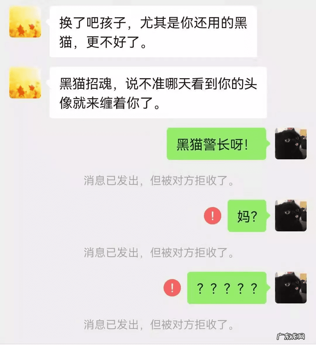 猫在风水上代表什么 猫头像有什么不好吗