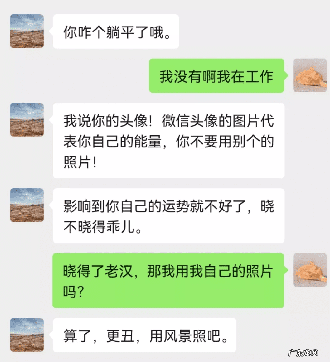 猫在风水上代表什么 猫头像有什么不好吗