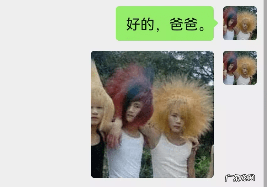 猫在风水上代表什么 猫头像有什么不好吗