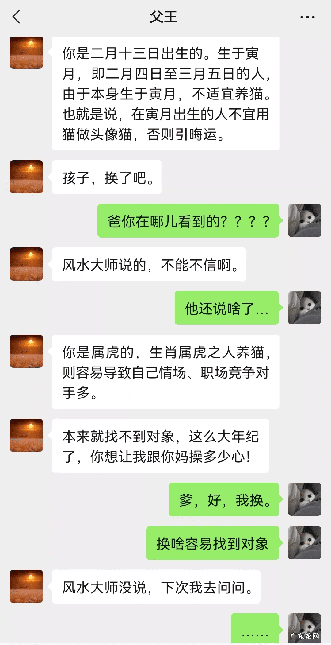 猫在风水上代表什么 猫头像有什么不好吗