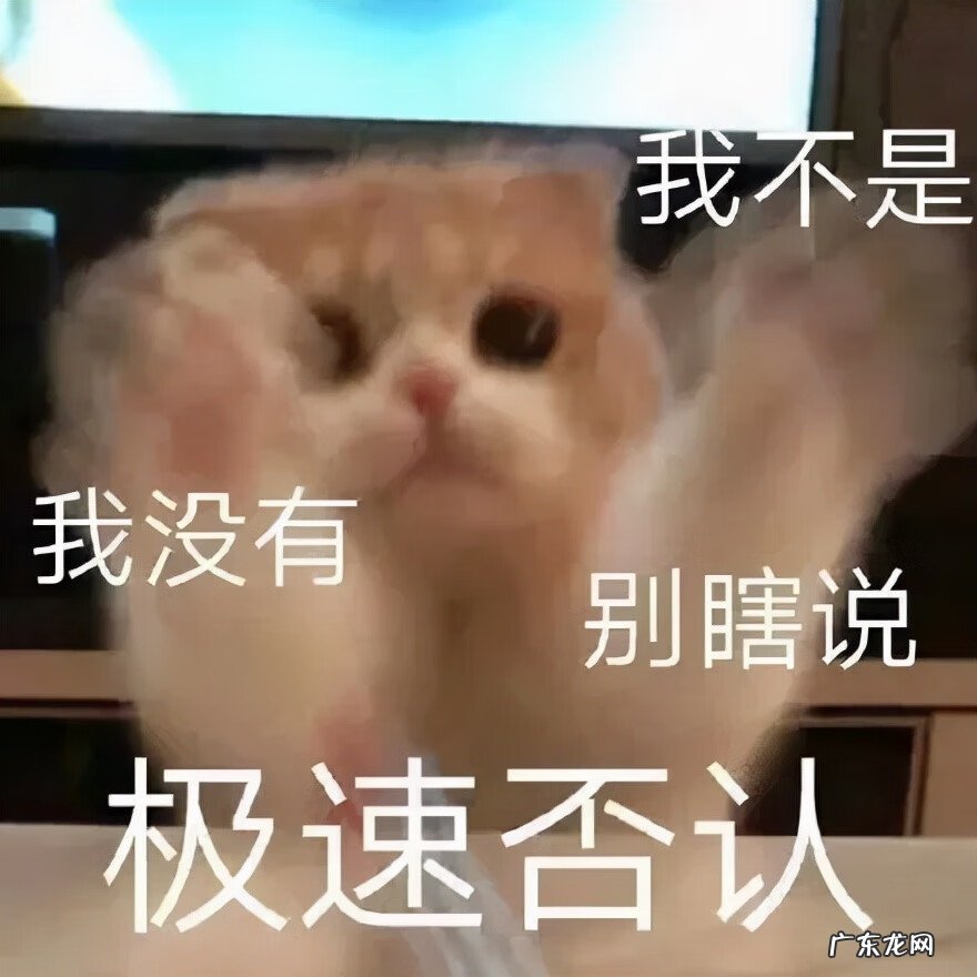 猫在风水上代表什么 猫头像有什么不好吗