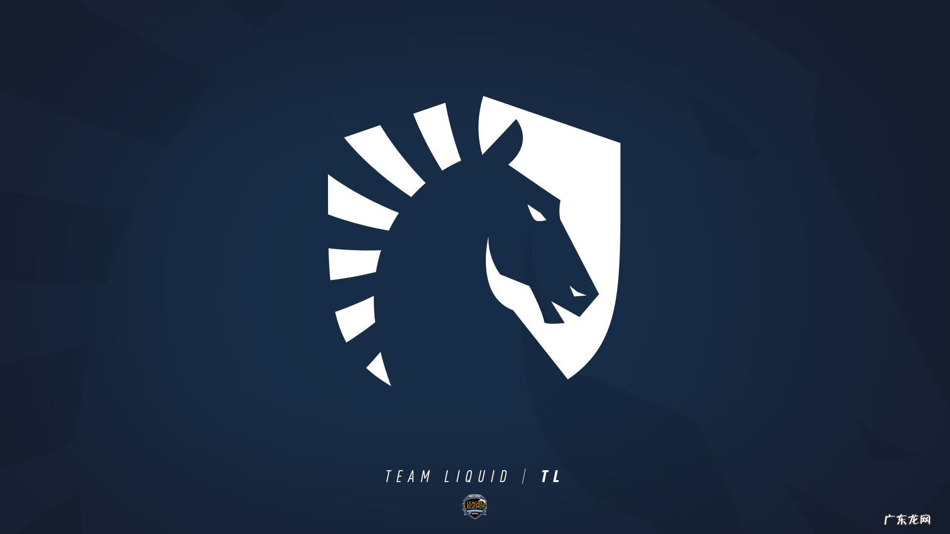 teamliquidlol成员 Liquid战队
