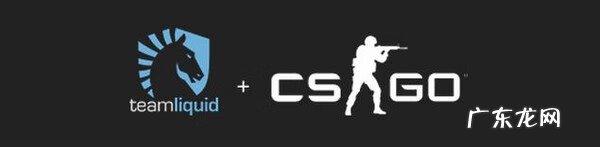 teamliquidlol成员 Liquid战队