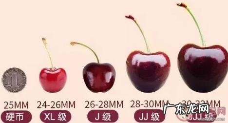 国内车厘子哪里产的最好吃 哪里产的车厘子最好吃?车厘子的上市时间