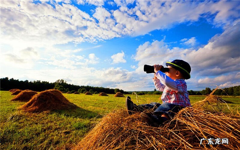 什么可以在家做赚钱 在家能赚什么钱