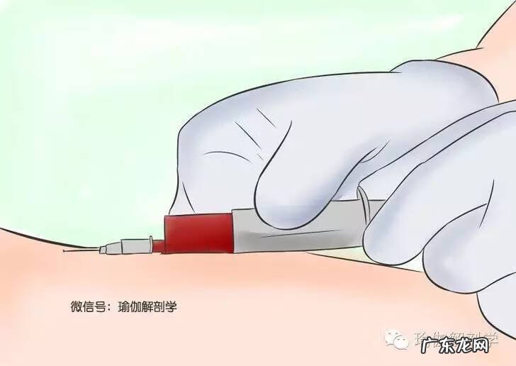 备孕该做什么准备 怀孕前准备