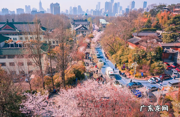 鸡鸣寺是求什么的 鸡鸣寺是庙吗