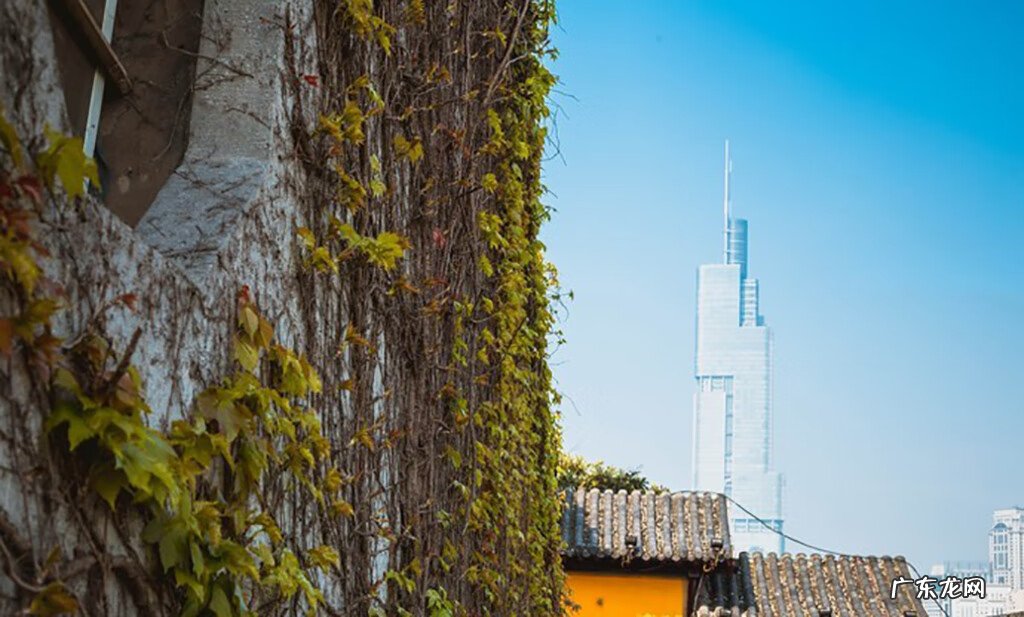 鸡鸣寺是求什么的 鸡鸣寺是庙吗