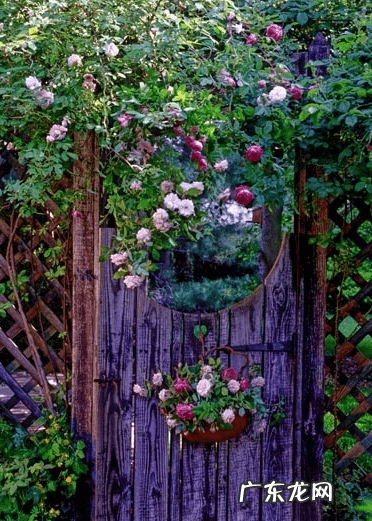 商铺对银行风水好不好 银行在风水代表什么