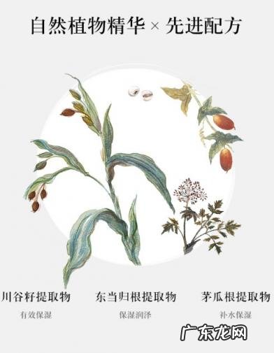 雪肌精谧雅柔光粉底液 雪肌精谧雅透白按摩美容液怎么样用