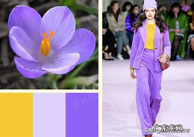 色彩搭配技巧 视觉色彩搭配技巧有哪些