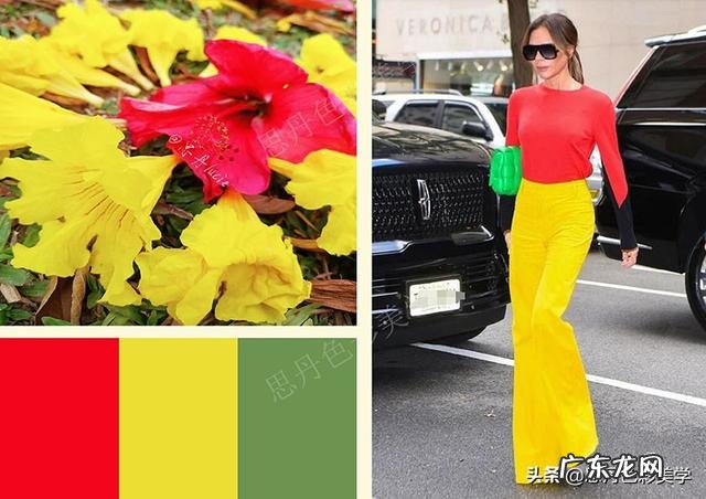 色彩搭配技巧 视觉色彩搭配技巧有哪些