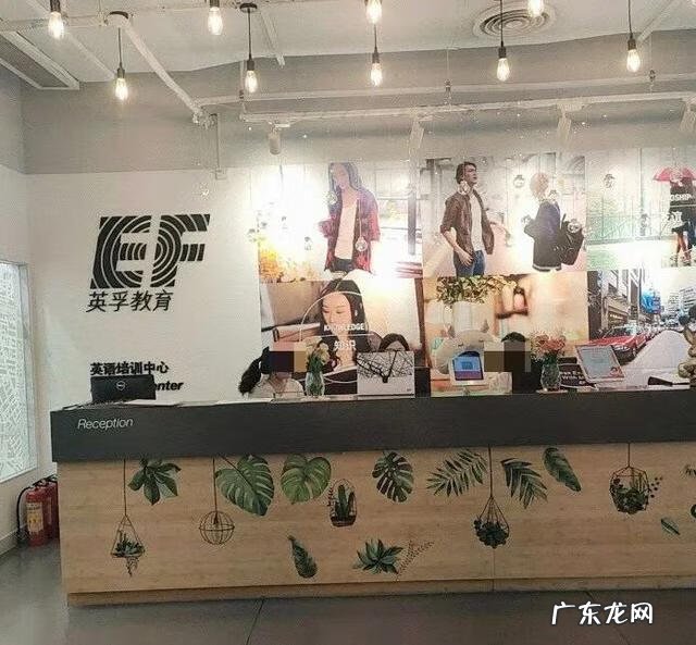 英孚线上课程官网 英孚英语培训机构