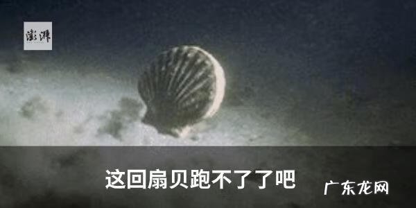 英孚线上课程官网 英孚英语培训机构