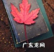 英语四级文章阅读 大学英语四级阅读理解
