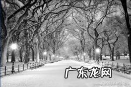 雨中漫步的心情说说短句 一个人在雨中散步的说说心情