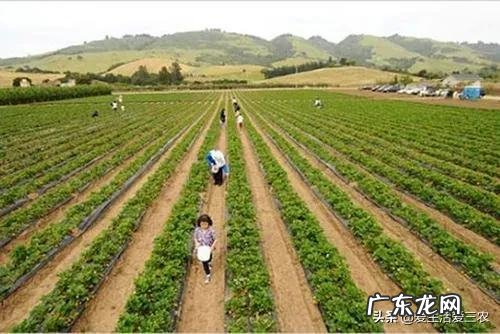 现在有什么好项目可以做 好项目