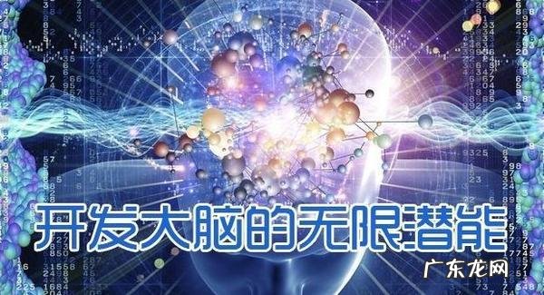 怎样开发孩子的右脑 如何开发右脑的功能