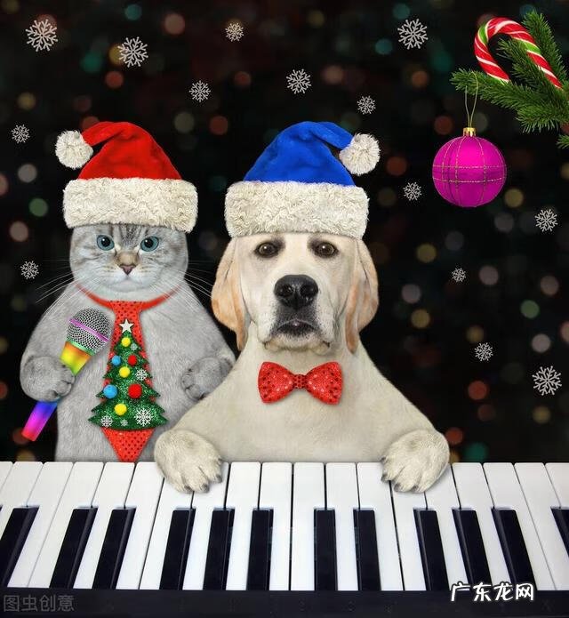 儿歌背景音乐 爱音乐的阿看