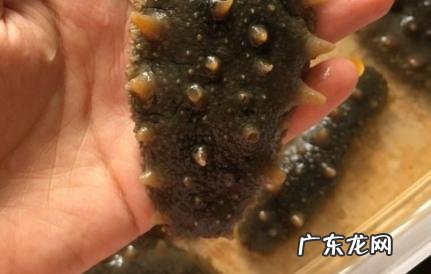 做海参为什么不能放油 做海参为什么不能放油呢