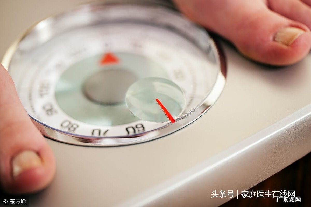 体重比 体重指数