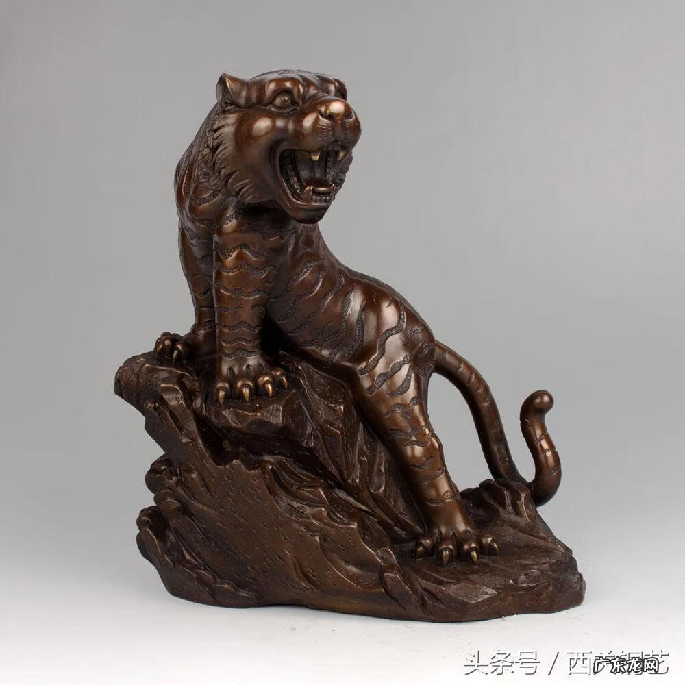 老虎的风水作用 老虎的风水