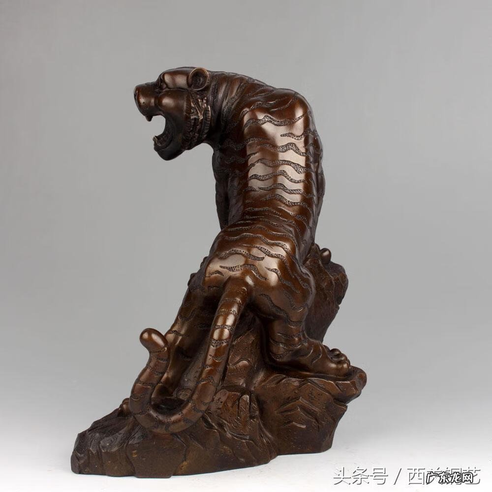 老虎的风水作用 老虎的风水