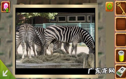 密室逃脱4攻略大全集带图 密室逃脱4攻略大全