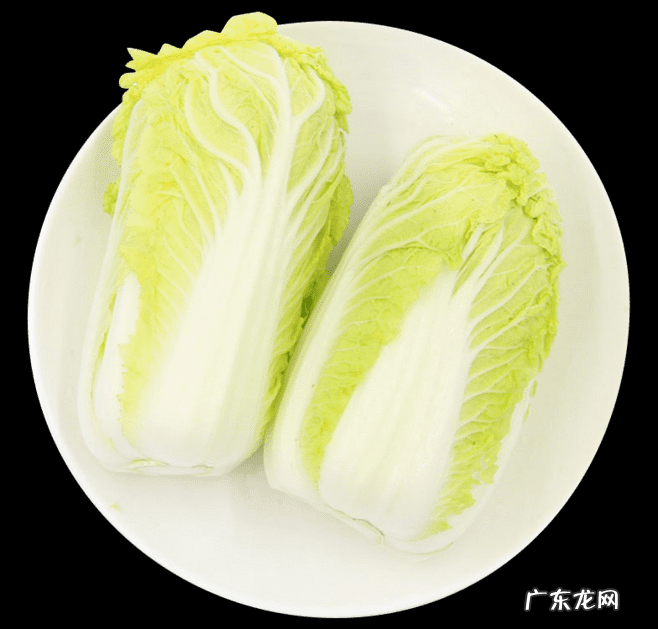 美猎属于什么弓 弓长美和