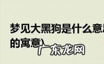 晚上做梦梦见大黑狗怎么回事 梦见大黑狗是怎么回事周公解梦女人