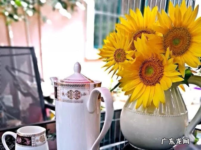 家里摆鲜花好不好风水 风水 鲜花