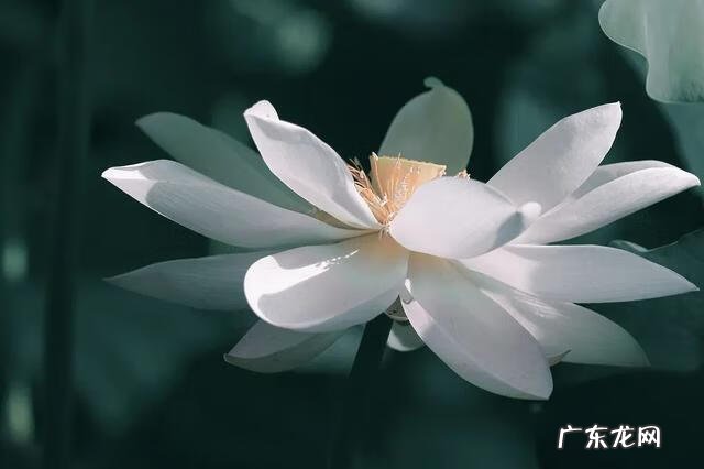 什么叫有格局的人 人的格局就是风水