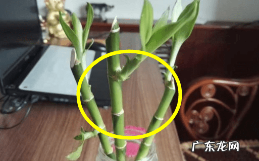 村头第一家风水怎么化解 农村家里风水变好的方法