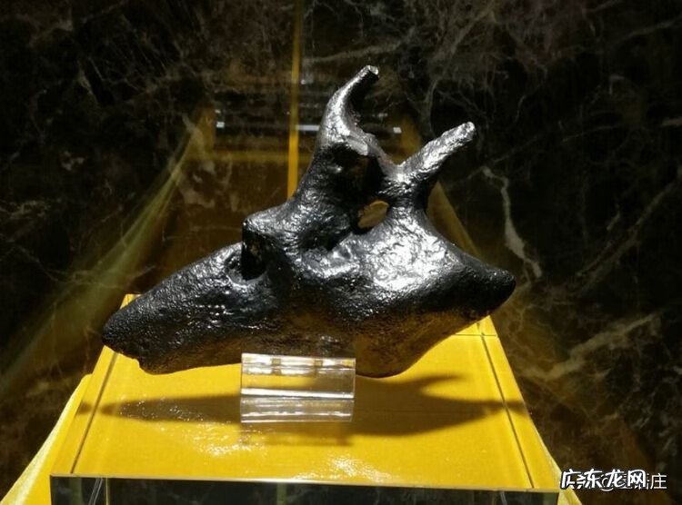 最新陨石坠落事件 陨石坠落的意思