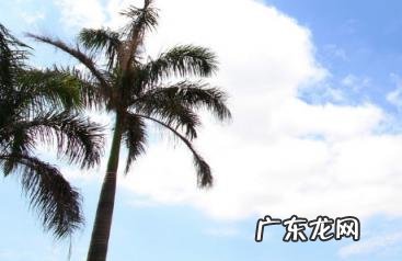 2021年国庆期间有台风吗 2021年十一假期会有台风吗现在