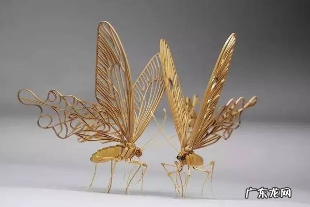 蜻蜓 风水 蜻蜓的风水