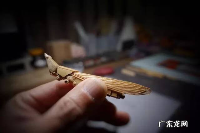 蜻蜓 风水 蜻蜓的风水