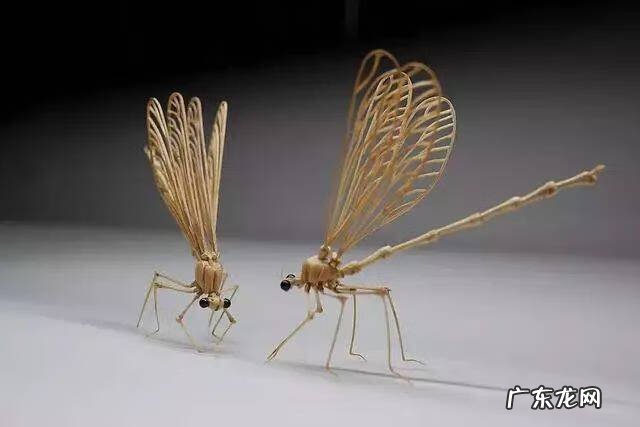 蜻蜓 风水 蜻蜓的风水