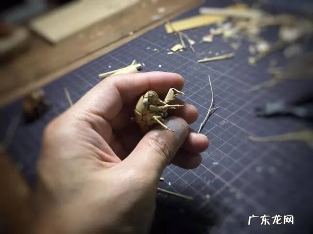 蜻蜓 风水 蜻蜓的风水