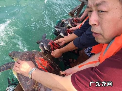 腰大池引流是什么意思 放流池是什么