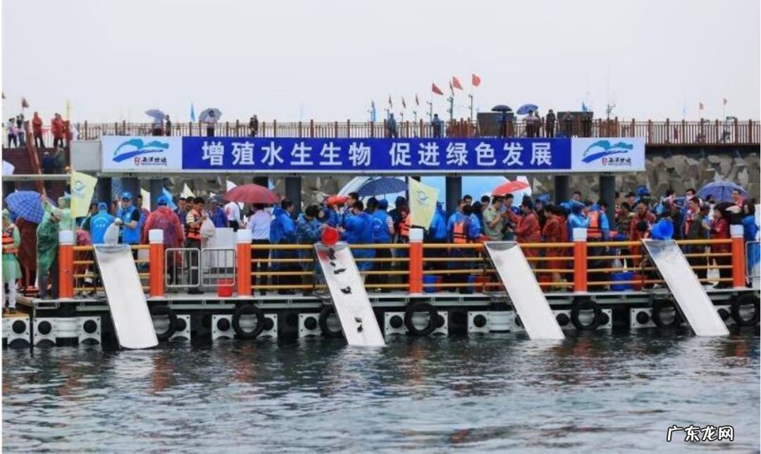 腰大池引流是什么意思 放流池是什么