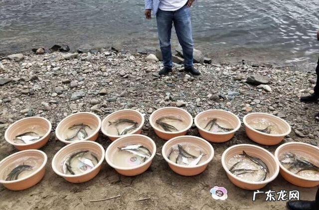 腰大池引流是什么意思 放流池是什么