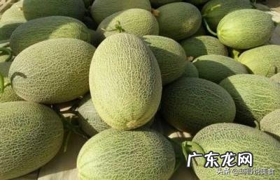 黄皮哈密瓜怎么挑选才甜呢 黄皮哈密瓜怎么挑选才甜呢