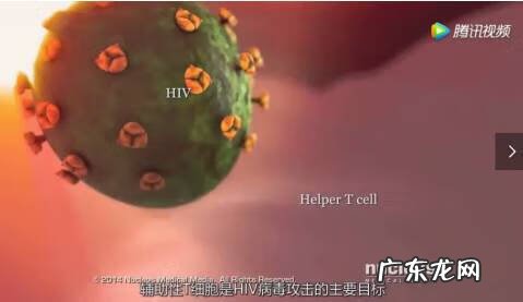 女性艾滋病 爱滋病