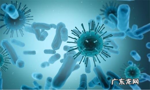 武汉7名外来务工人员核检阳性封城 武汉7名外来务工人员核检阳性轨迹